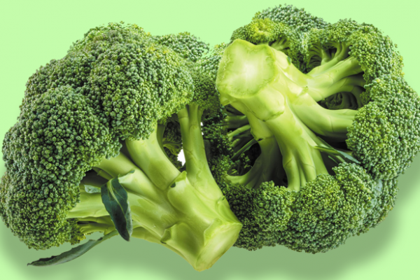 Sulforaphane from cruciferous trees: how to multiply their protective efficacy up to 100 times